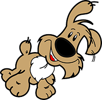 Hund am Rennen