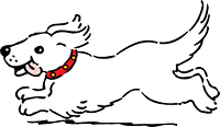 Hund am Rennen